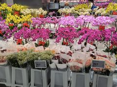 -盒马X会员店(王府井奥莱UP TOWN店)