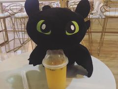 -Husky Go! 哈士奇体验馆·宠物咖啡厅狗咖