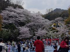 -杭州少年儿童公园