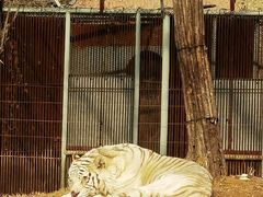 -秦皇岛野生动物园