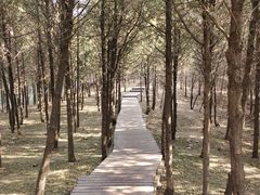 -北京十三陵国家森林公园蟒山景区