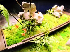 -蘇锦宴·淮扬菜烤鸭·小院(三元桥霄云路店)