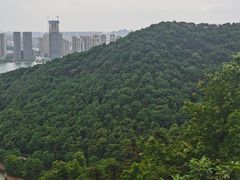 -桃花岭景区