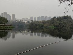 -重庆彩云湖湿地公园