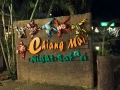 -清迈夜间动物园