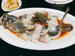 青花椒蒸龙胆鱼-闽和南(深圳万象城店)