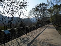 -西湖风景区-江洋畈生态公园