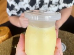 -蒙醇鲜酿酸奶