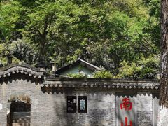 -镇江市南山风景名胜区竹林景区