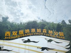 -西双版纳原始森林公园