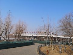 -大兴滨河森林公园