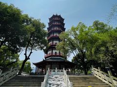 -绳金塔