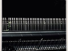 -福道
