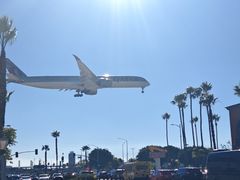 -In-N-Out Burger(LAX)