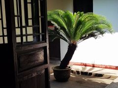 -毛泽东同志旧居