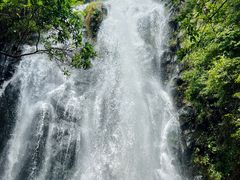 -马峦山郊野公园