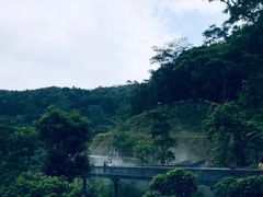 -阳台山森林公园