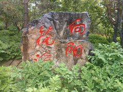 -太阳宫公园