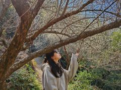 -东南悬空寺方广岩
