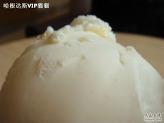 DSC07965-哈根达斯(西安高新店)