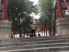 -中岳庙