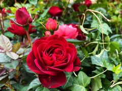 -人民公园(罗湖区)