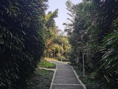 -菊花台公园