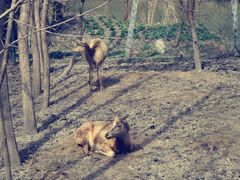 景点-溱湖国家湿地公园