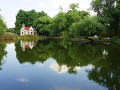 -上海共青森林公园