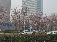 -军事博物馆(地铁站)