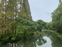 -昆山城市生态森林公园