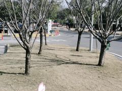 -上海永慈康复医院