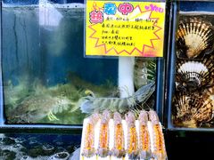 -蚝专家(北滘店)