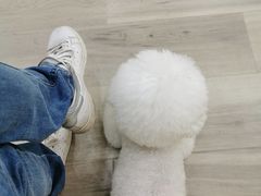 -萌小它宠物健康管理中心(怡海家园店)