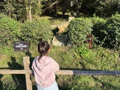 -大连铭湖国际观光牧场