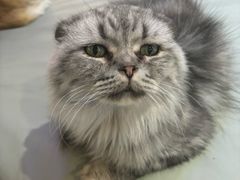 -平行世界·猫咖(首经贸店)