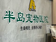 -半岛宠物医院24小时(科华中路店)