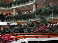 -广州白天鹅宾馆