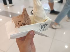 -野人先生Gelato(上海长宁龙之梦店)