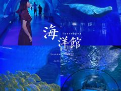 -泉城欧乐堡海洋极地世界