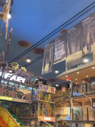 -卡通尼·Safari非洲探索乐园·生日会(金桥国际商业广场店)