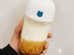 熊丸撞奶-兰熊鲜奶(西直门凯德mall店)