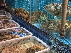 -庆赫隆融合菜馆(群力店)