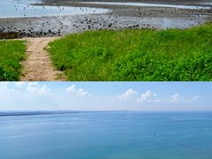 -硇洲岛旅游区