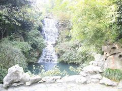 照片1&nbsp;182-十八棵（老龙井）御茶园(老龙井店)
