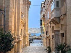 -上巴拉卡花园和下巴拉卡花园