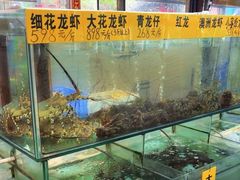 -寻味顺德·南记酒家·传统顺德菜·鱼生(广源路店)