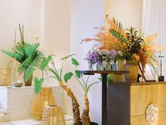 -HUATA 'Holiday Plan 花榻