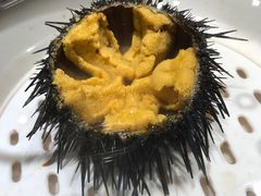 -苏大嘴海鲜牧场(奥林匹克店)
