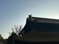 -普陀山风景名胜区-法雨禅寺